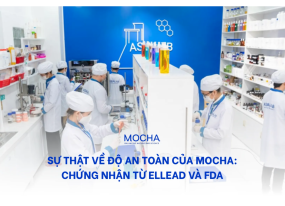 2 chứng nhận Mocha có an toàn không: Chứng nhận từ Ellead và FDA