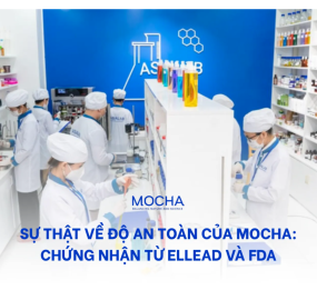 2 chứng nhận Mocha có an toàn không: Chứng nhận từ Ellead và FDA